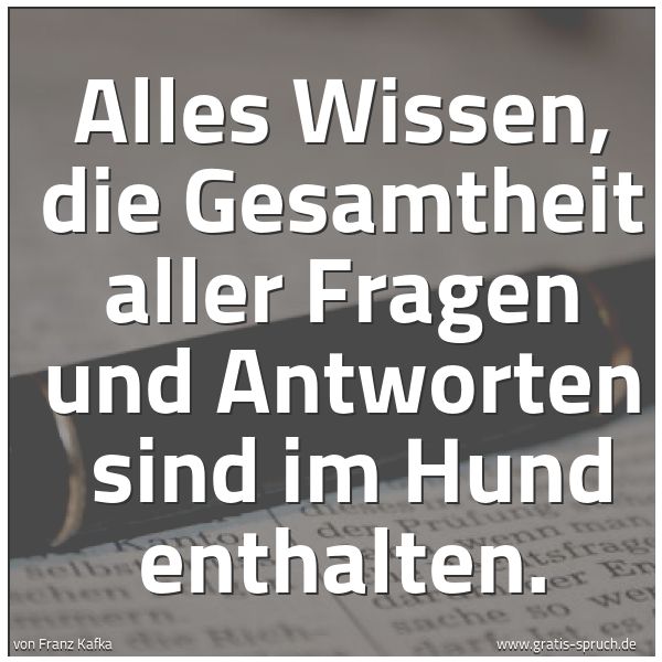 Quadratisches Spruchbild: Alles Wissen, die Gesamtheit aller Fragen und Antworten  sind im Hund enthalten.