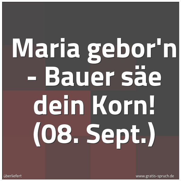 Quadratisches Spruchbild: Maria gebor'n - Bauer säe dein Korn! (08. Sept.)