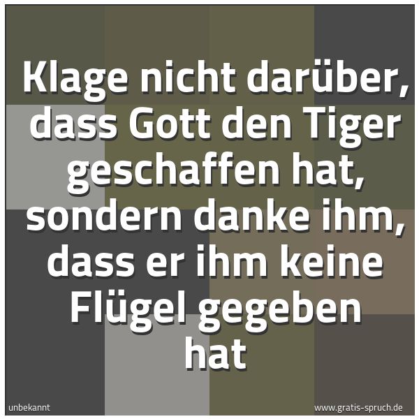 Quadratisches Spruchbild: Klage nicht darüber, dass Gott den Tiger geschaffen hat, sondern danke ihm, dass er ihm ke …