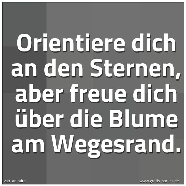 Quadratisches Spruchbild: Orientiere dich an den Sternen, aber freue dich über die Blume am Wegesrand.