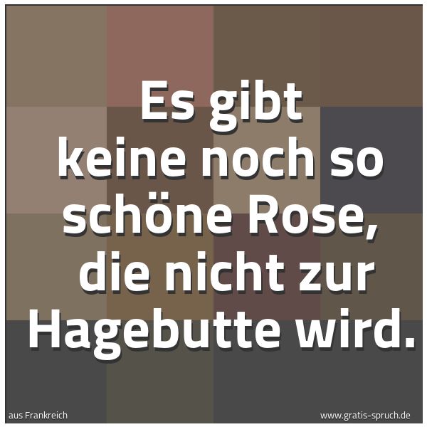 Quadratisches Spruchbild: Es gibt keine noch so schöne Rose,  die nicht zur Hagebutte wird.