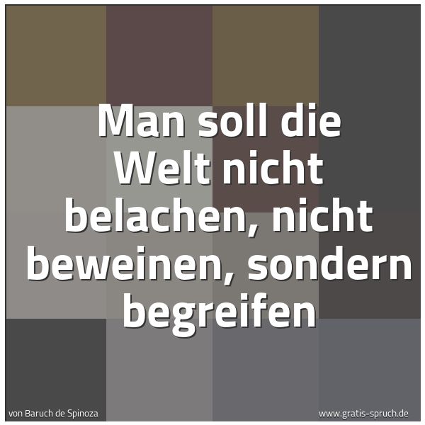 Quadratisches Spruchbild: Man soll die Welt nicht belachen, nicht beweinen, sondern begreifen