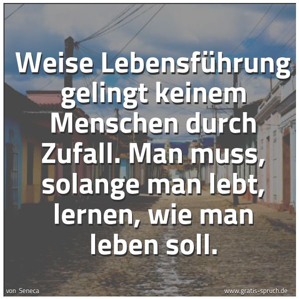 Quadratisches Spruchbild: Weise Lebensführung gelingt keinem Menschen durch Zufall. Man muss, solange man lebt, lern …
