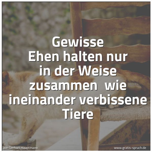 Quadratisches Spruchbild: Gewisse Ehen halten nur in der Weise zusammen  wie ineinander verbissene Tiere