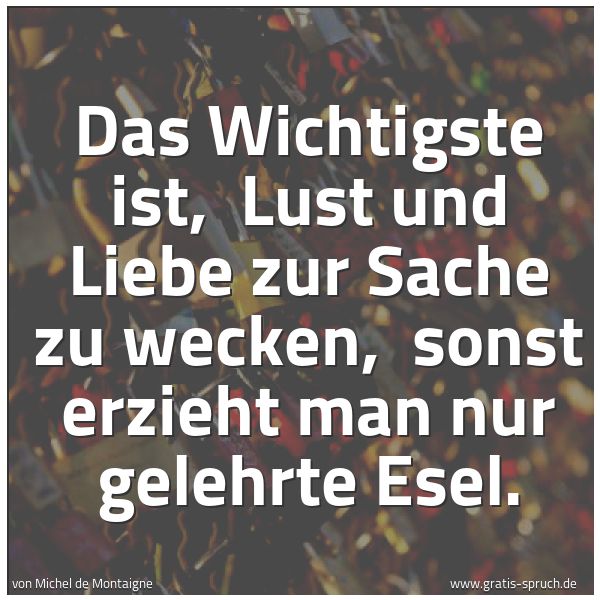 Quadratisches Spruchbild: Das Wichtigste ist,  Lust und Liebe zur Sache zu wecken,  sonst erzieht man nur gelehrte E …