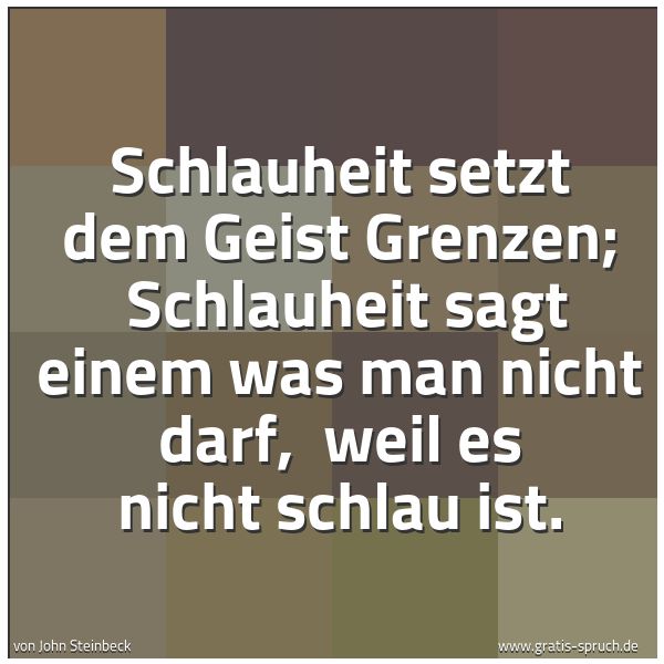 Quadratisches Spruchbild: Schlauheit setzt dem Geist Grenzen;  Schlauheit sagt einem was man nicht darf,  weil es ni …