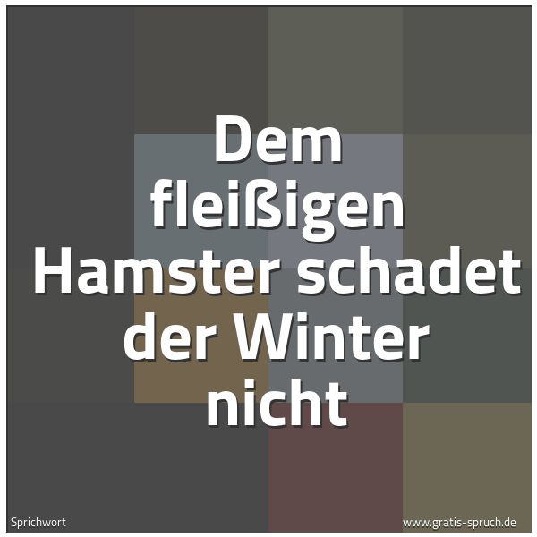 Quadratisches Spruchbild: Dem fleißigen Hamster schadet der Winter nicht