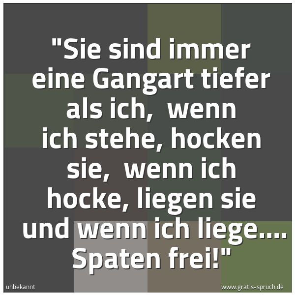 Quadratisches Spruchbild: "Sie sind immer eine Gangart tiefer als ich,  wenn ich stehe, hocken sie,  wenn ich hocke, …