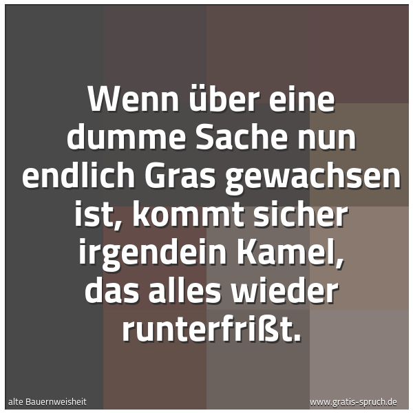 Quadratisches Spruchbild: Wenn über eine dumme Sache nun endlich Gras gewachsen ist, kommt sicher irgendein Kamel, d …
