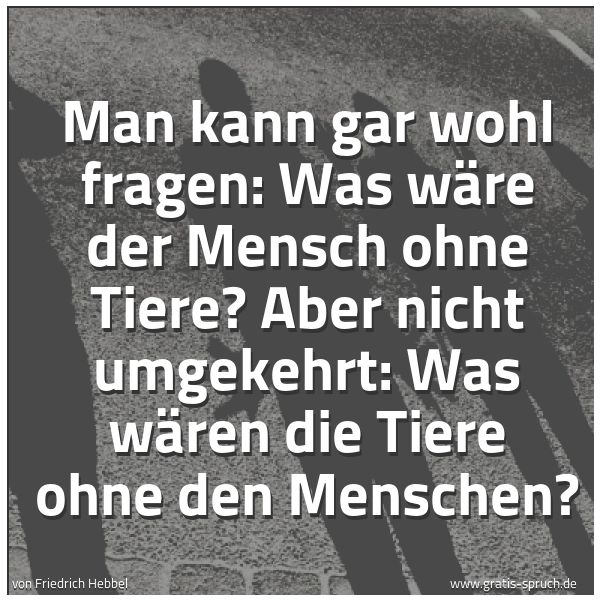 Quadratisches Spruchbild: Man kann gar wohl fragen: Was wäre der Mensch ohne Tiere? Aber nicht umgekehrt: Was wären  …