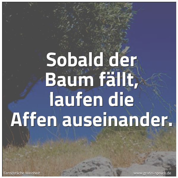 Quadratisches Spruchbild: Sobald der Baum fällt, laufen die Affen auseinander.