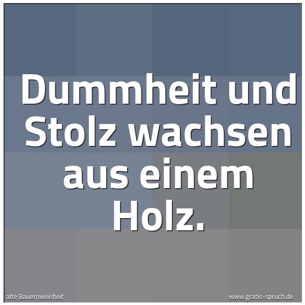 Quadratisches Spruchbild: Dummheit und Stolz wachsen aus einem Holz.