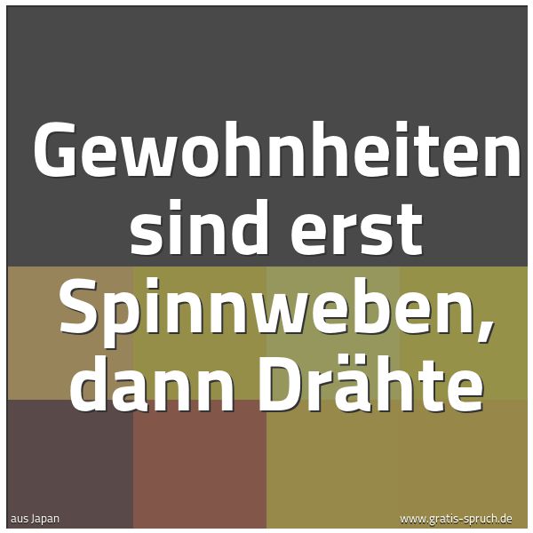 Quadratisches Spruchbild: Gewohnheiten sind erst Spinnweben, dann Drähte