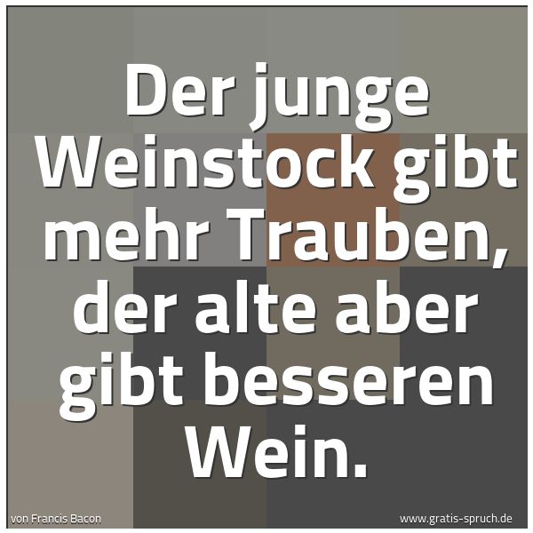 Quadratisches Spruchbild: Der junge Weinstock gibt mehr Trauben, der alte aber gibt besseren Wein.