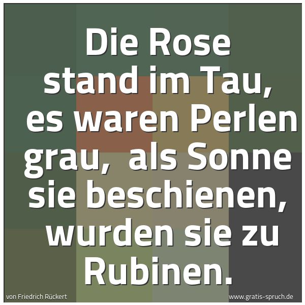 Quadratisches Spruchbild: Die Rose stand im Tau,  es waren Perlen grau,  als Sonne sie beschienen,  wurden sie zu Ru …