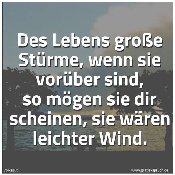 Quadratisches Spruchbild: Des Lebens große Stürme, wenn sie vorüber sind, so mögen sie dir scheinen, sie wären leich …