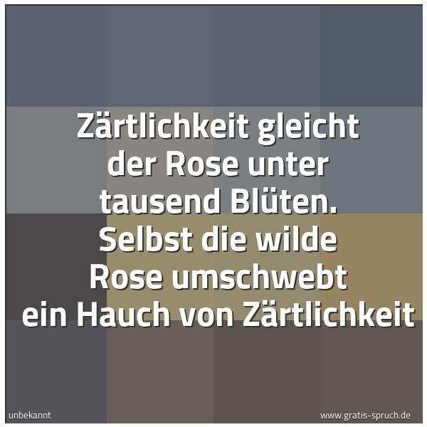 Quadratisches Spruchbild: Zärtlichkeit gleicht der Rose unter tausend Blüten. Selbst die wilde Rose umschwebt ein Ha …