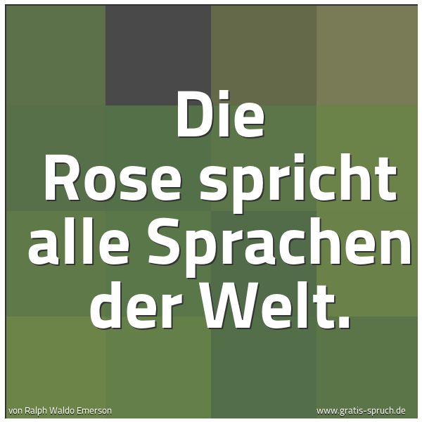 Quadratisches Spruchbild: Die Rose spricht alle Sprachen der Welt.