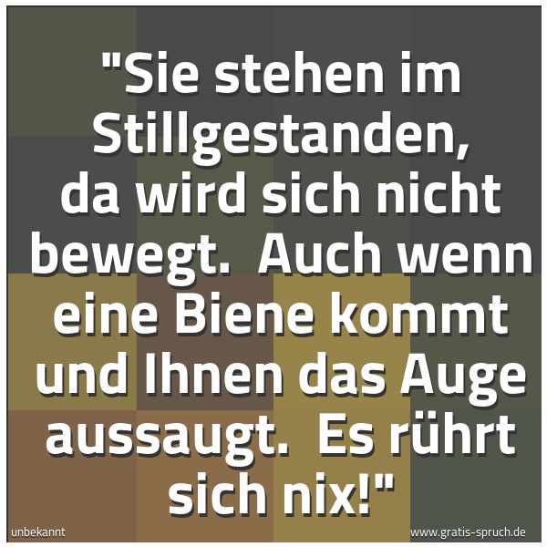 Quadratisches Spruchbild: "Sie stehen im Stillgestanden, da wird sich nicht bewegt.  Auch wenn eine Biene kommt und  …