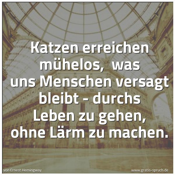 Quadratisches Spruchbild: Katzen erreichen mühelos,  was uns Menschen versagt bleibt - durchs Leben zu gehen, ohne L …