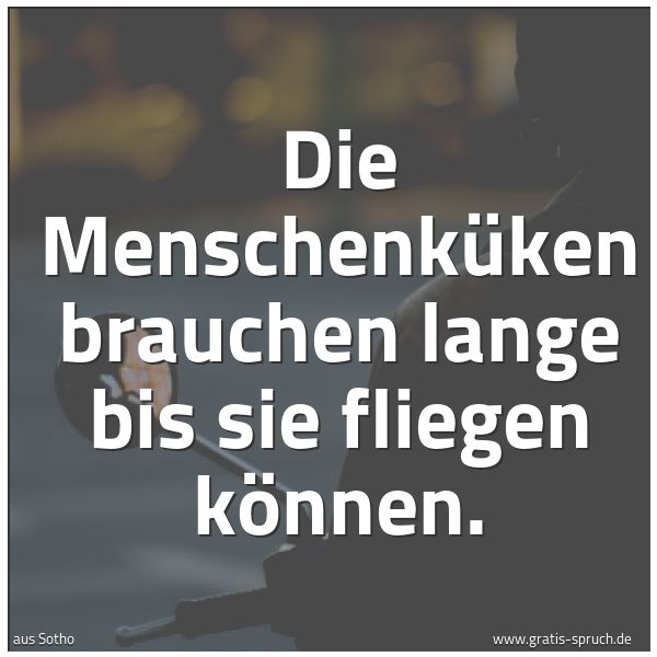 Quadratisches Spruchbild: Die Menschenküken brauchen lange bis sie fliegen können.