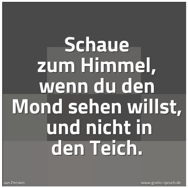 Quadratisches Spruchbild: Schaue zum Himmel, wenn du den Mond sehen willst,  und nicht in den Teich.