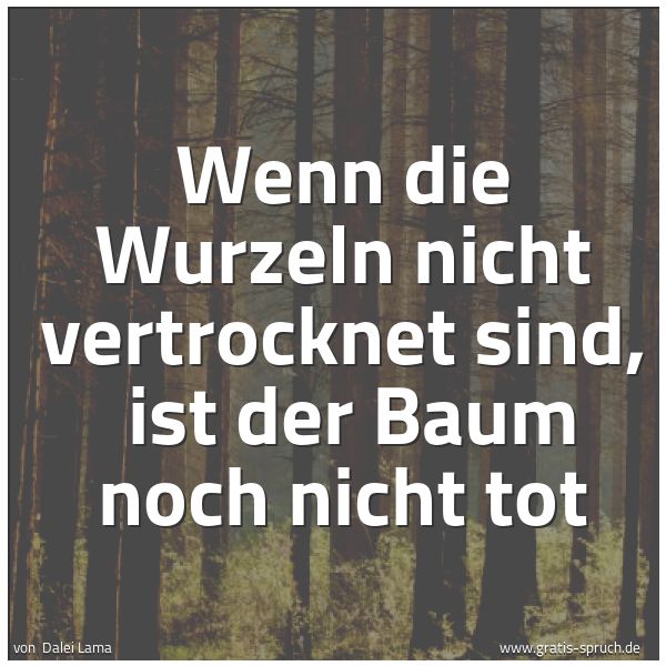 Quadratisches Spruchbild: Wenn die Wurzeln nicht vertrocknet sind,  ist der Baum noch nicht tot
