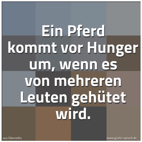 Quadratisches Spruchbild: Ein Pferd kommt vor Hunger um, wenn es von mehreren Leuten gehütet wird.
