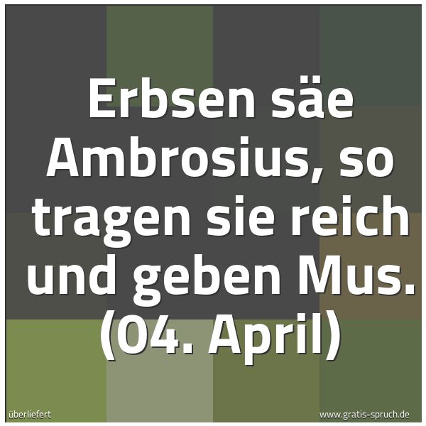 Quadratisches Spruchbild: Erbsen säe Ambrosius, so tragen sie reich und geben Mus. (04. April)