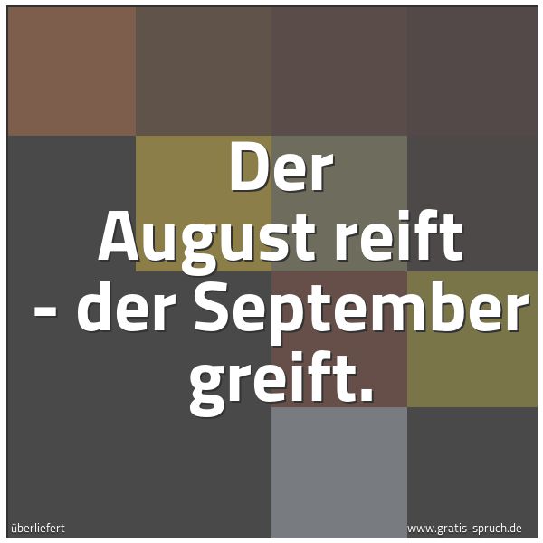 Quadratisches Spruchbild: Der August reift - der September greift.