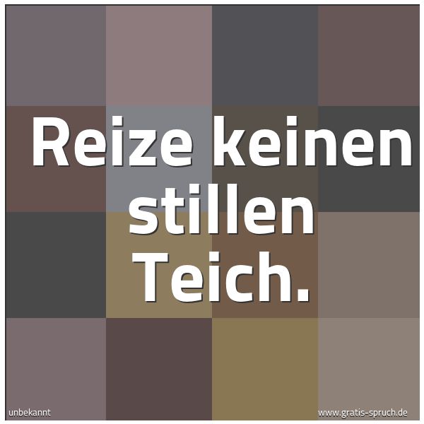 Quadratisches Spruchbild: Reize keinen stillen Teich.