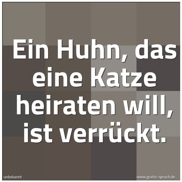 Quadratisches Spruchbild: Ein Huhn, das eine Katze heiraten will, ist verrückt.