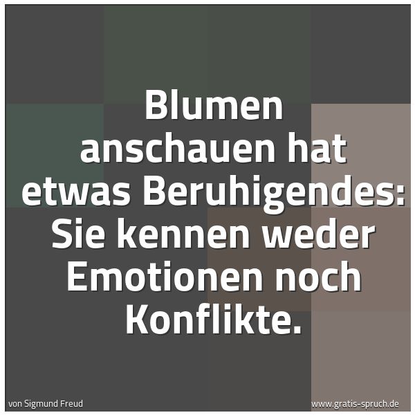 Quadratisches Spruchbild: Blumen anschauen hat etwas Beruhigendes: Sie kennen weder Emotionen noch Konflikte.