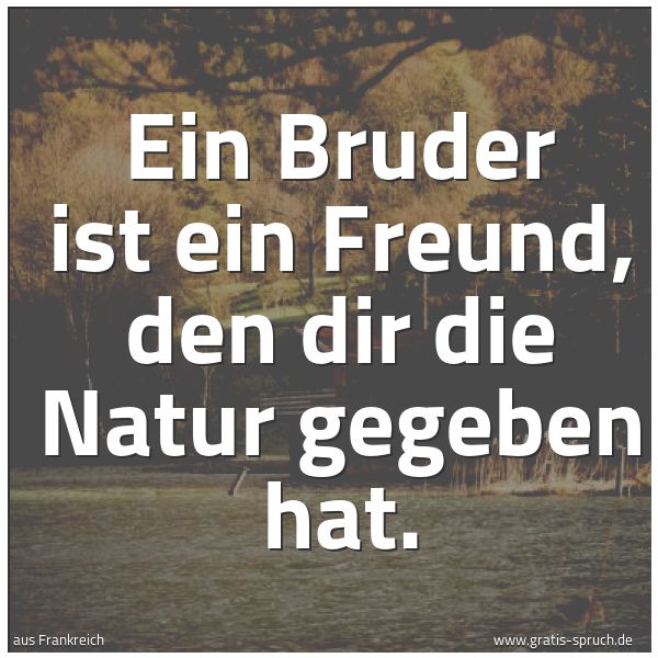 Quadratisches Spruchbild: Ein Bruder ist ein Freund, den dir die Natur gegeben hat.