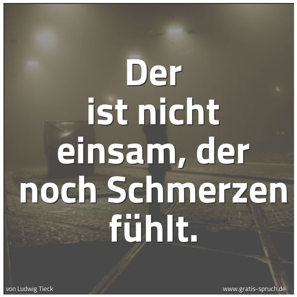 Quadratisches Spruchbild: Der ist nicht einsam, der noch Schmerzen fühlt.