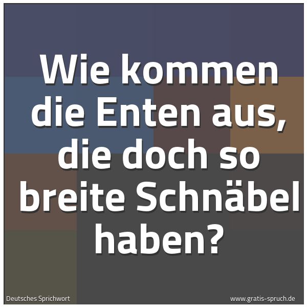 Quadratisches Spruchbild: Wie kommen die Enten aus, die doch so breite Schnäbel haben?