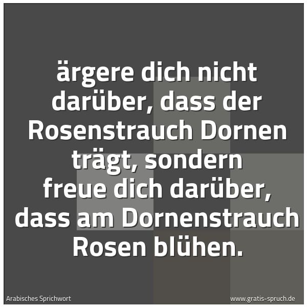 Quadratisches Spruchbild: Ärgere dich nicht darüber, dass der Rosenstrauch Dornen trägt, sondern freue dich darüber, …