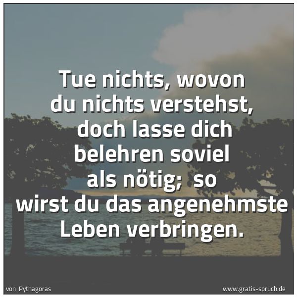 Quadratisches Spruchbild: Tue nichts, wovon du nichts verstehst,  doch lasse dich belehren soviel als nötig;  so wir …