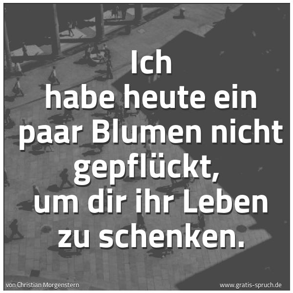 Quadratisches Spruchbild: Ich habe heute ein paar Blumen nicht gepflückt,  um dir ihr Leben zu schenken.