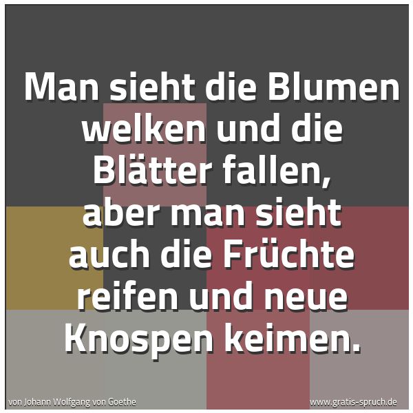 Quadratisches Spruchbild: Man sieht die Blumen welken und die Blätter fallen, aber man sieht auch die Früchte reifen …