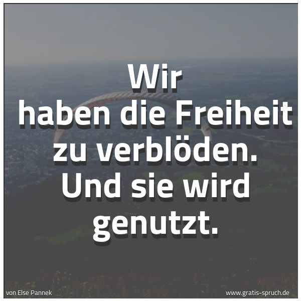 Quadratisches Spruchbild: Wir haben die Freiheit zu verblöden. Und sie wird genutzt.