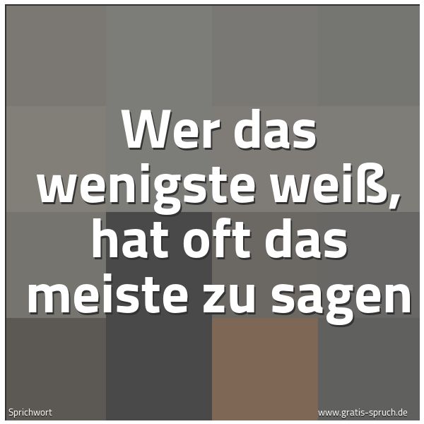 Quadratisches Spruchbild: Wer das wenigste weiß, hat oft das meiste zu sagen