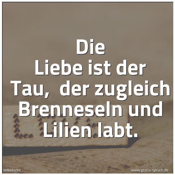Quadratisches Spruchbild: Die Liebe ist der Tau,  der zugleich Brenneseln und Lilien labt.