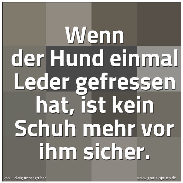 Quadratisches Spruchbild: Wenn der Hund einmal Leder gefressen hat, ist kein Schuh mehr vor ihm sicher.