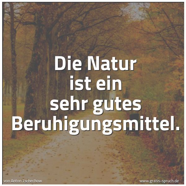 Quadratisches Spruchbild: Die Natur ist ein sehr gutes Beruhigungsmittel.