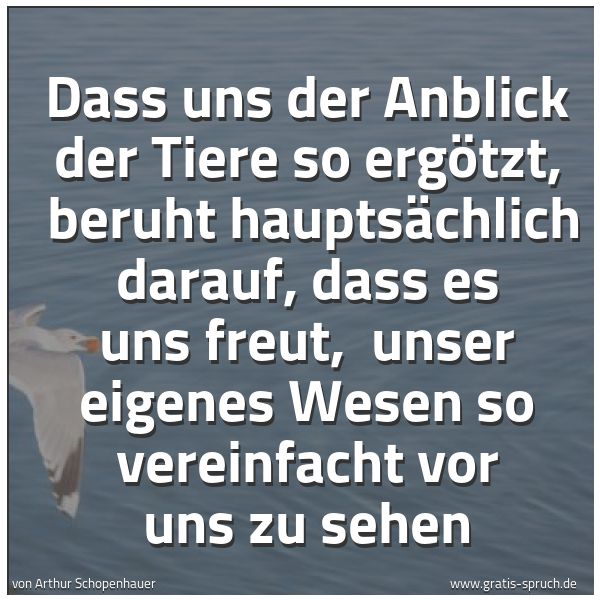 Quadratisches Spruchbild: Dass uns der Anblick der Tiere so ergötzt,  beruht hauptsächlich darauf, dass es uns freut …