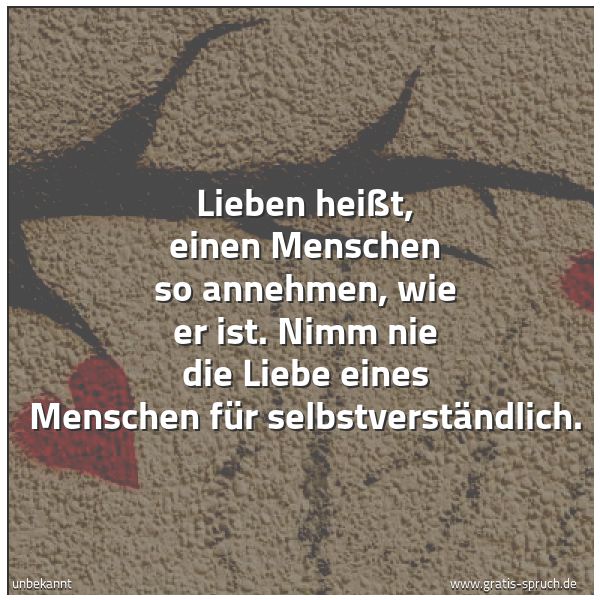 Quadratisches Spruchbild: Lieben heißt, einen Menschen so annehmen, wie er ist. Nimm nie die Liebe eines Menschen fü …