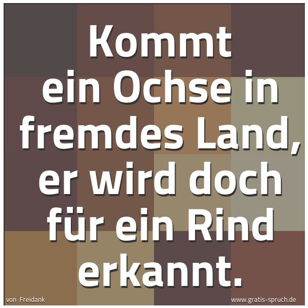Quadratisches Spruchbild: Kommt ein Ochse in fremdes Land, er wird doch für ein Rind erkannt.