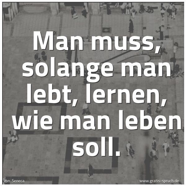 Quadratisches Spruchbild: Man muss, solange man lebt, lernen, wie man leben soll.